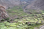  The valley leading to Changla - Ladakh